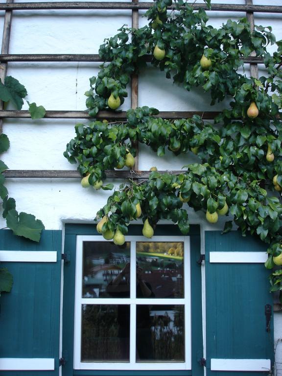 Alpenhof Punzenlehen Apartamento Schönau am Königssee Exterior foto